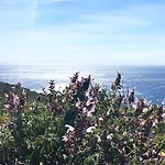 Goeknar Knidos Oasis Nature ホテル