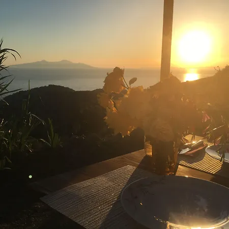 Goeknar Knidos Oasis Nature