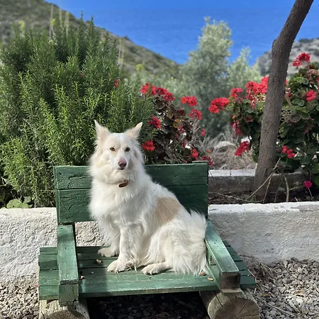 Hotel Goeknar Knidos Oasis Nature 3*