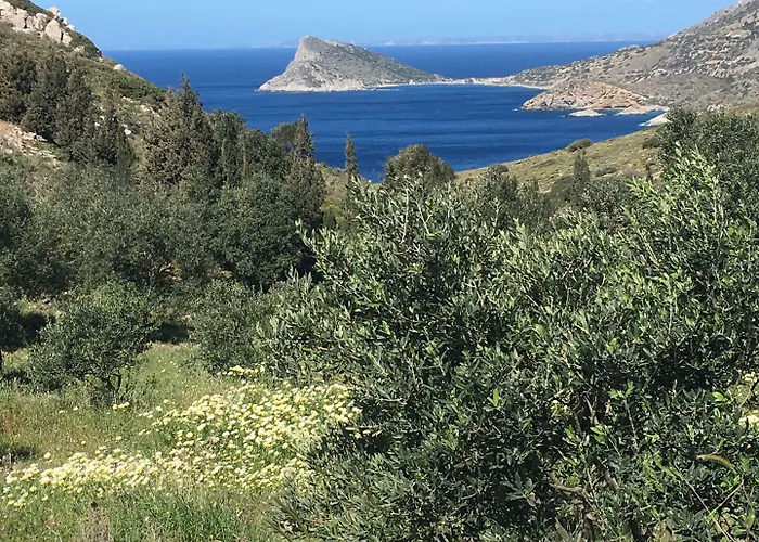 Goeknar Knidos Oasis Nature Datça