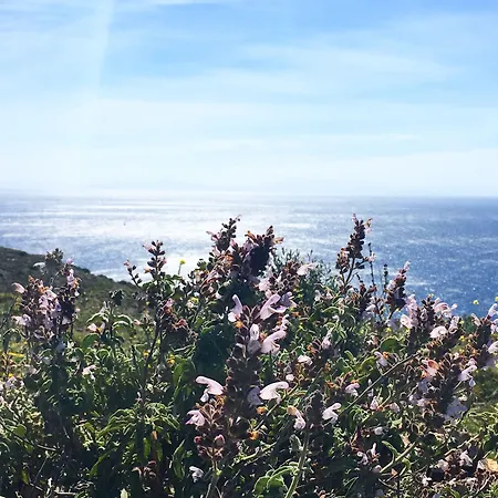 Goeknar Knidos Oasis Nature Hotel