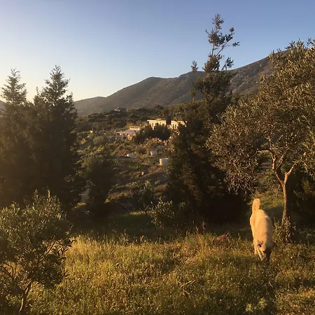 Hotel Goeknar Knidos Oasis Nature Datça