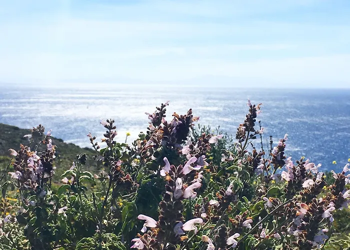 Goeknar Knidos Oasis Nature Szálloda