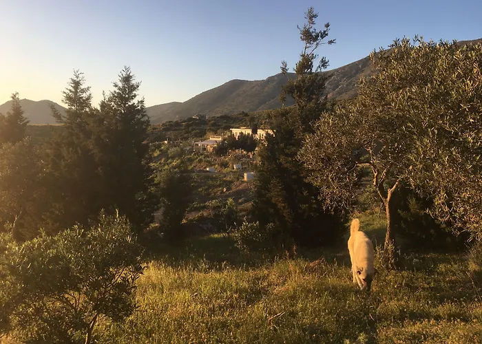 Szálloda Goeknar Knidos Oasis Nature Datça