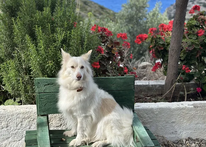 Szálloda Goeknar Knidos Oasis Nature 3*